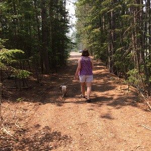 Meet your Posher, Robin